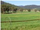 Tenterfield NSW 2372