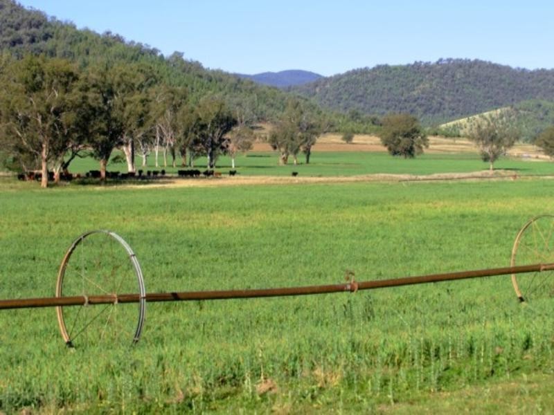 Tenterfield NSW 2372