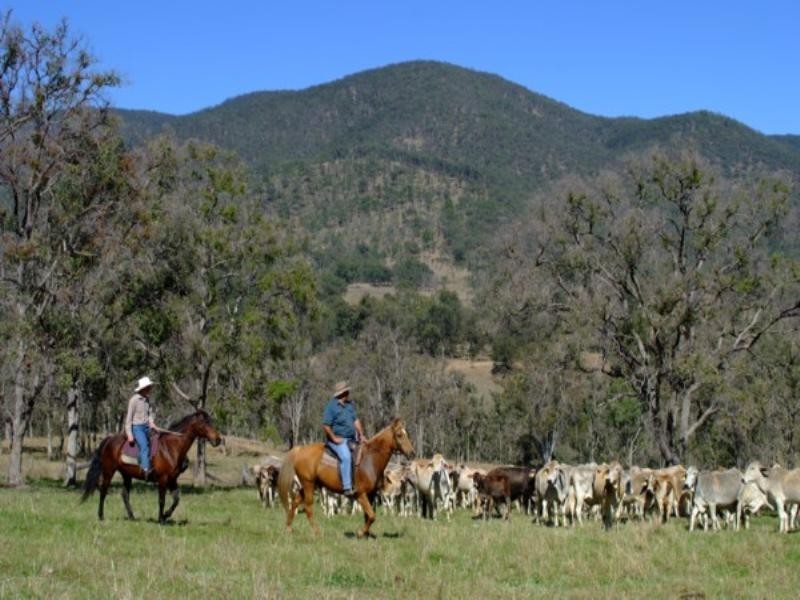 Tenterfield NSW 2372