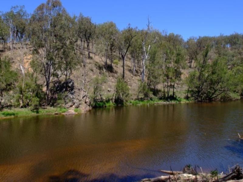 Tenterfield NSW 2372