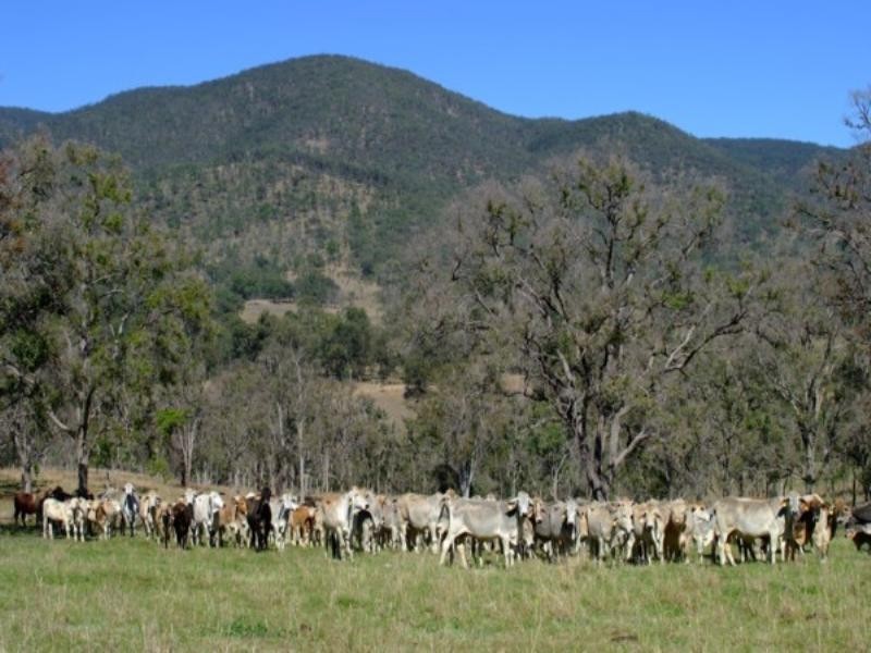 Tenterfield NSW 2372