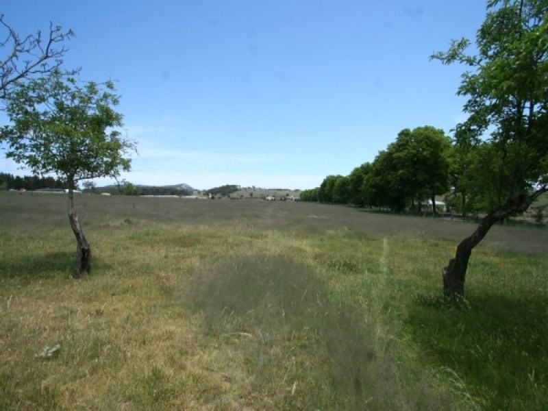 77 Cowper Street, Tenterfield NSW 2372