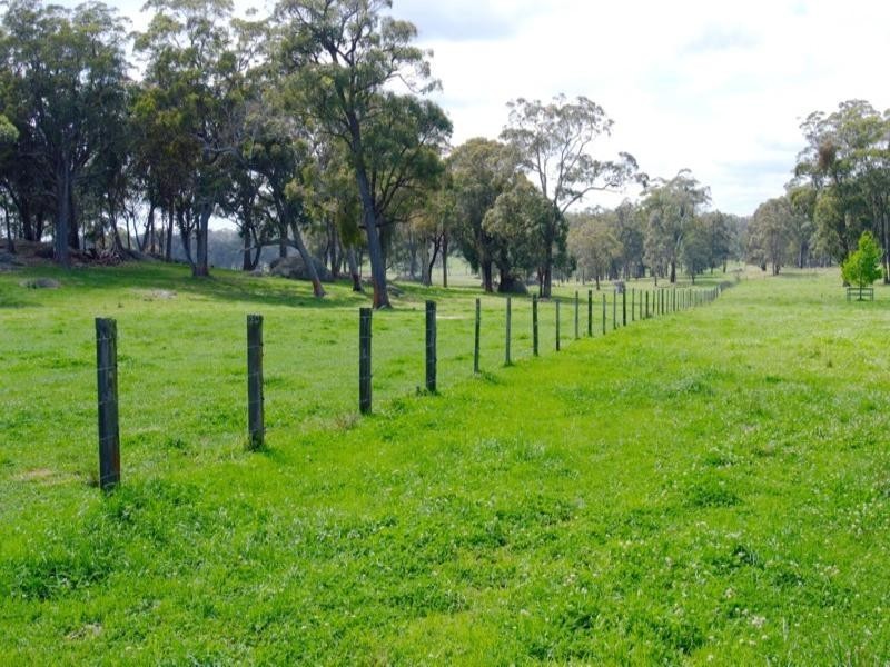 Tenterfield NSW 2372