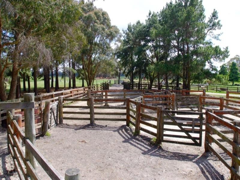 Tenterfield NSW 2372