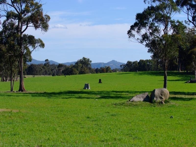 Tenterfield NSW 2372