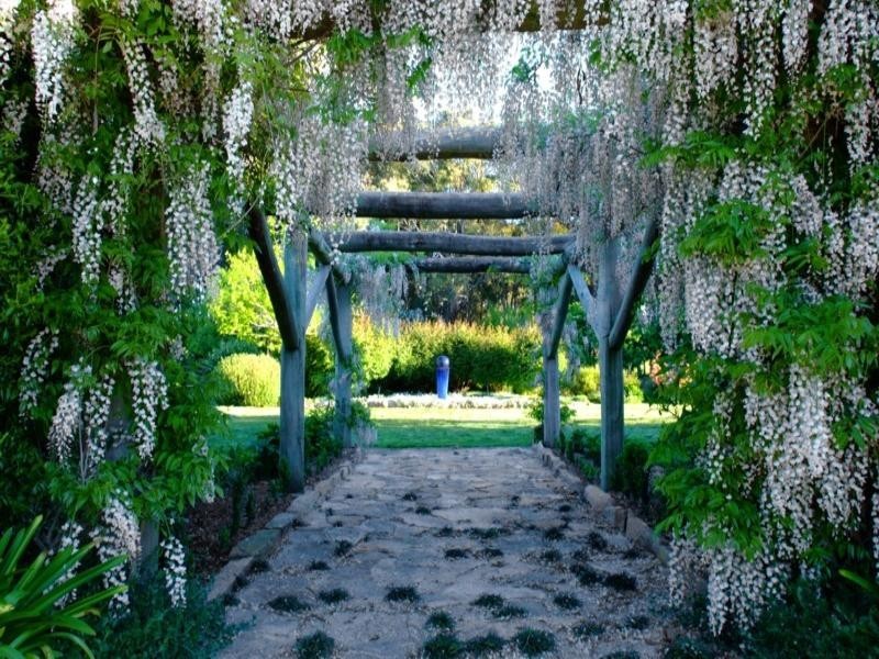 Tenterfield NSW 2372