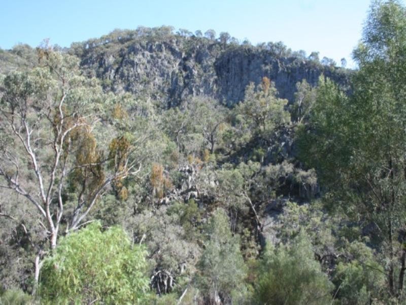 Tenterfield NSW 2372