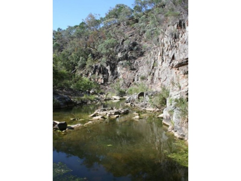 Tenterfield NSW 2372