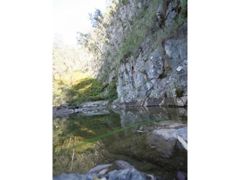 Tenterfield NSW 2372