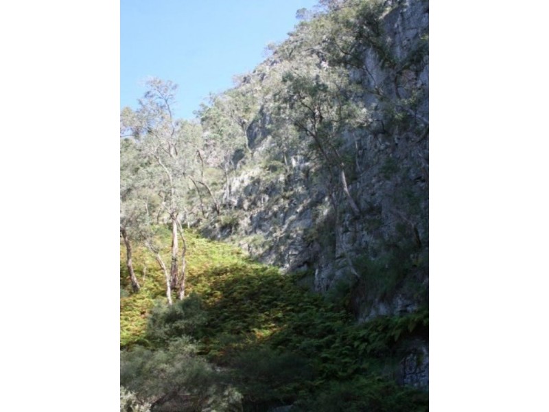 Tenterfield NSW 2372