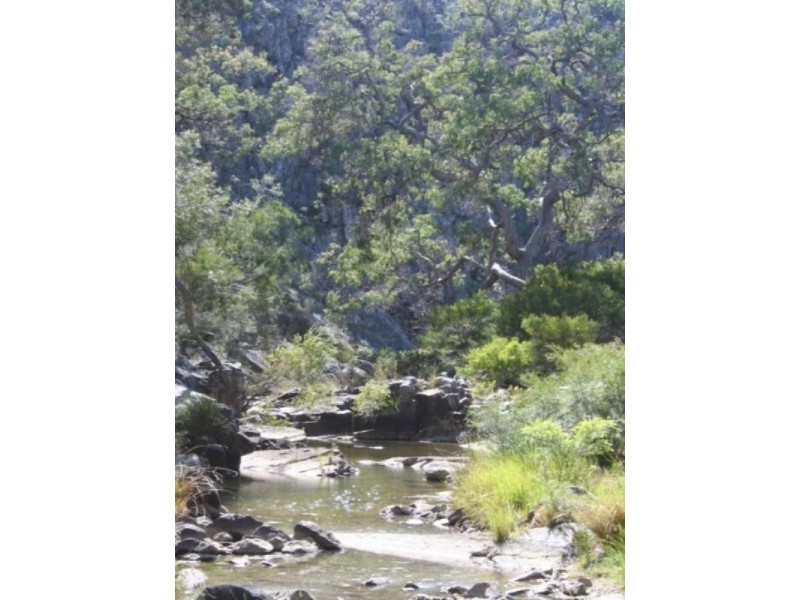 Tenterfield NSW 2372