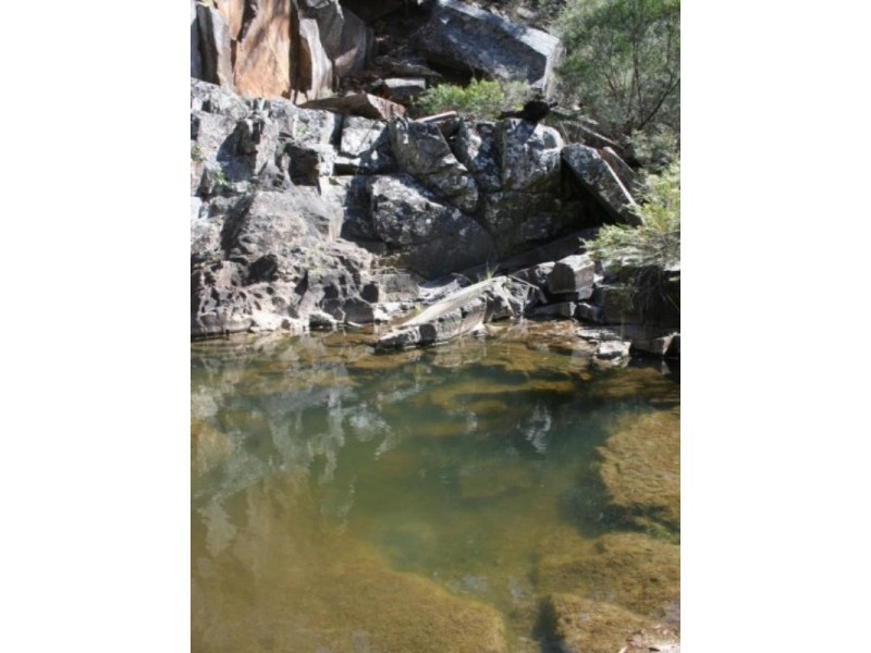 Tenterfield NSW 2372