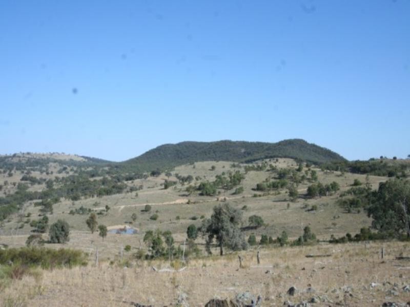 Tenterfield NSW 2372