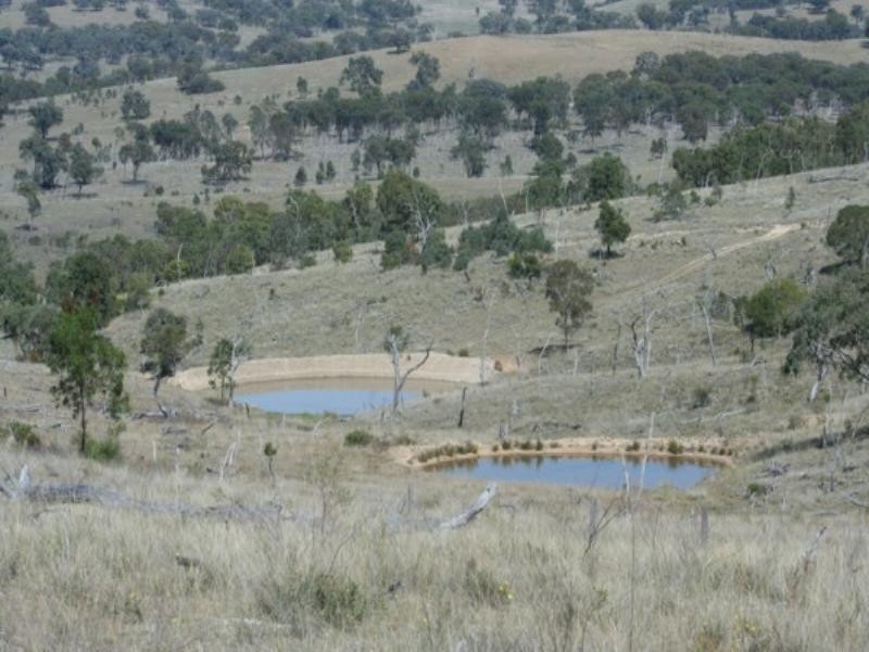 Tenterfield NSW 2372