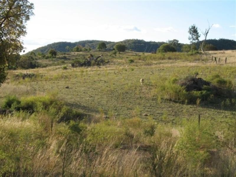 Tenterfield NSW 2372