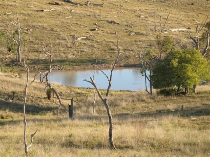 Tenterfield NSW 2372