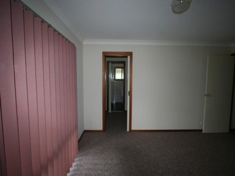 1177 Black Swamp Road, Tenterfield NSW 2372