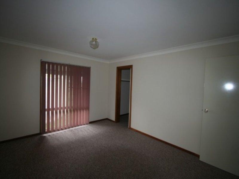 1177 Black Swamp Road, Tenterfield NSW 2372