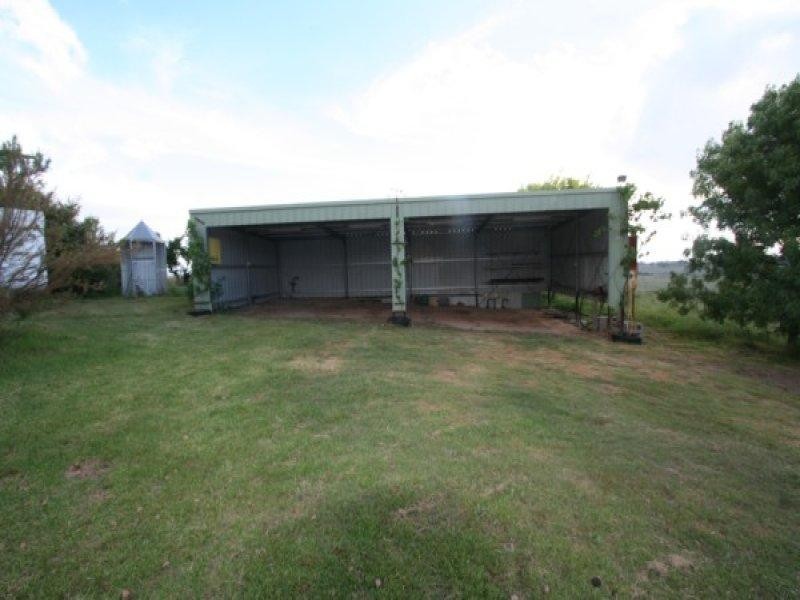 1177 Black Swamp Road, Tenterfield NSW 2372