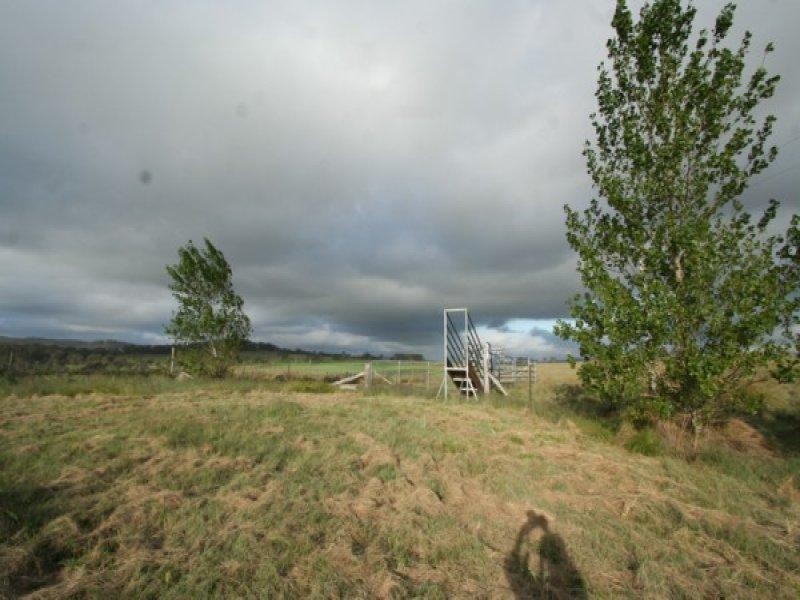 1177 Black Swamp Road, Tenterfield NSW 2372