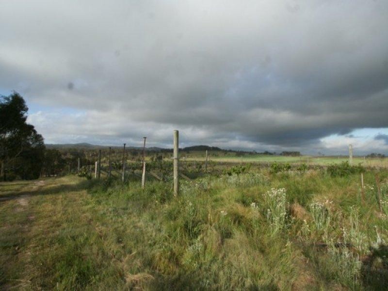 1177 Black Swamp Road, Tenterfield NSW 2372