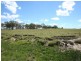 Tenterfield NSW 2372