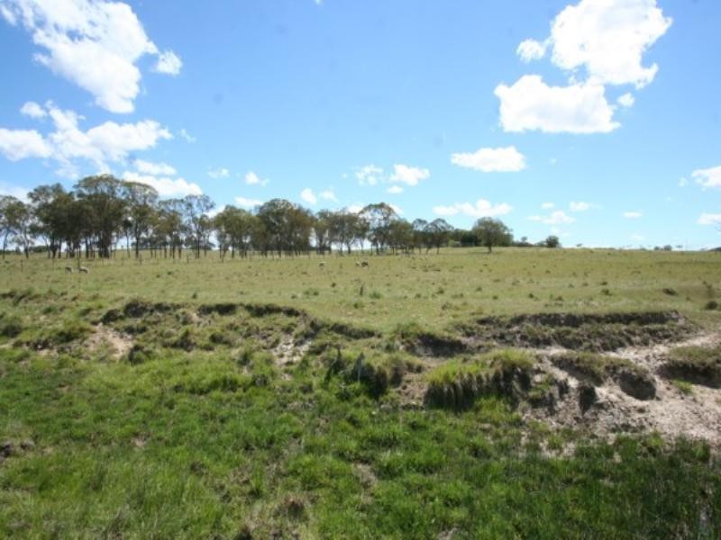 Tenterfield NSW 2372
