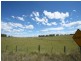 Tenterfield NSW 2372