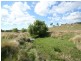 Tenterfield NSW 2372