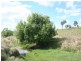 Tenterfield NSW 2372