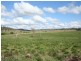 Tenterfield NSW 2372