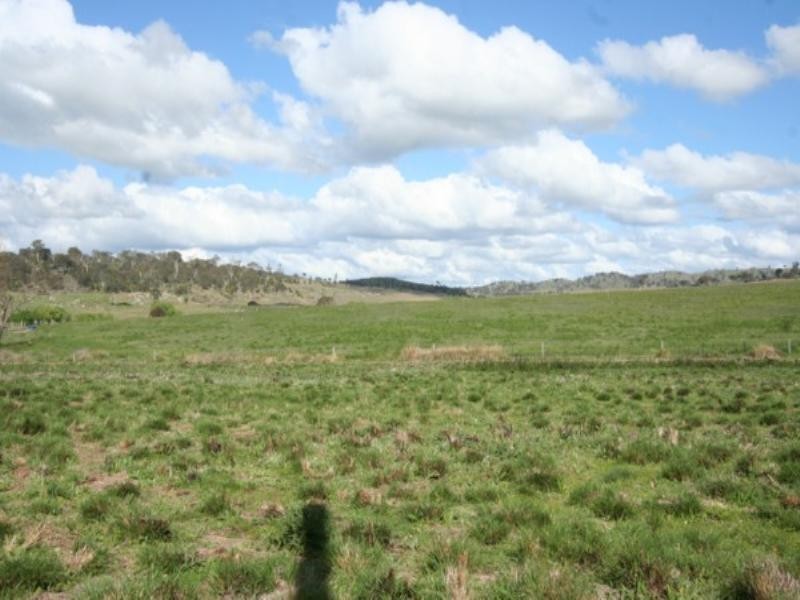 Tenterfield NSW 2372