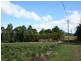 Tenterfield NSW 2372