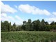 Tenterfield NSW 2372