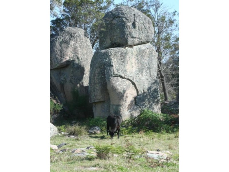 Tenterfield NSW 2372