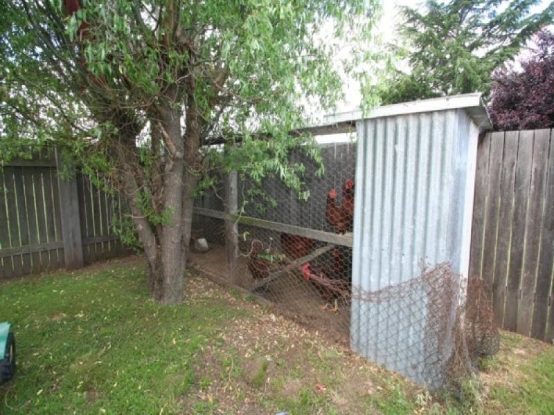 50 High Street, Tenterfield NSW 2372