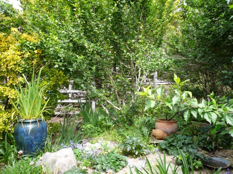 Tenterfield NSW 2372