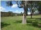 Tenterfield NSW 2372