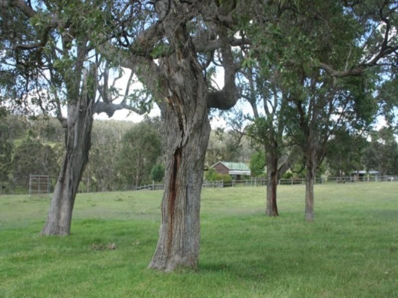 Tenterfield NSW 2372