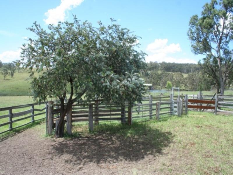 Tenterfield NSW 2372