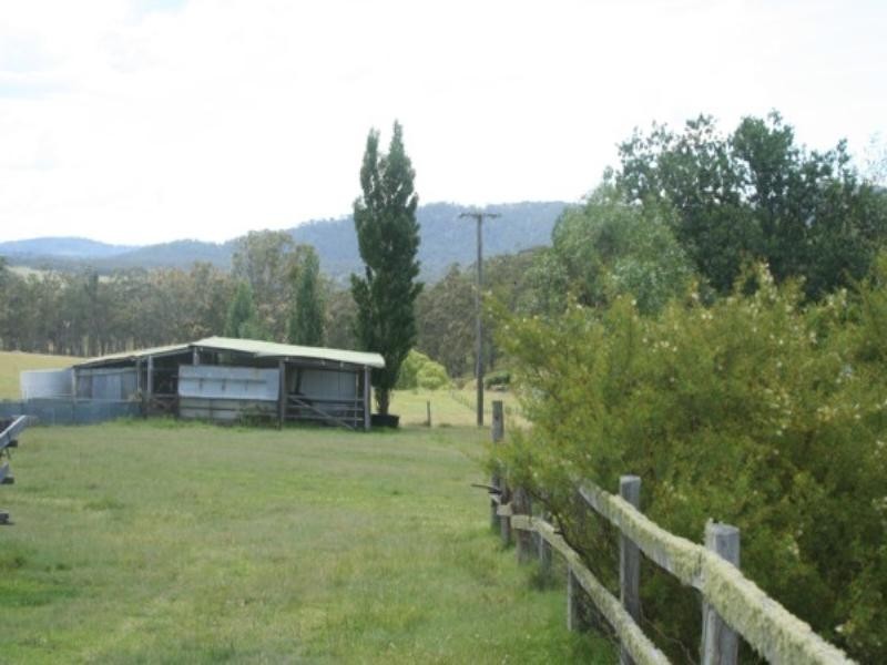 Tenterfield NSW 2372