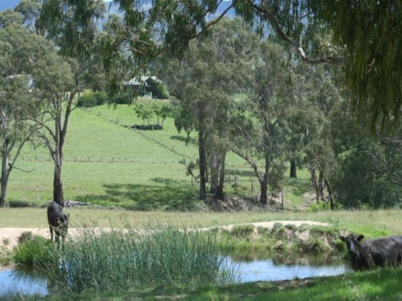 Tenterfield NSW 2372