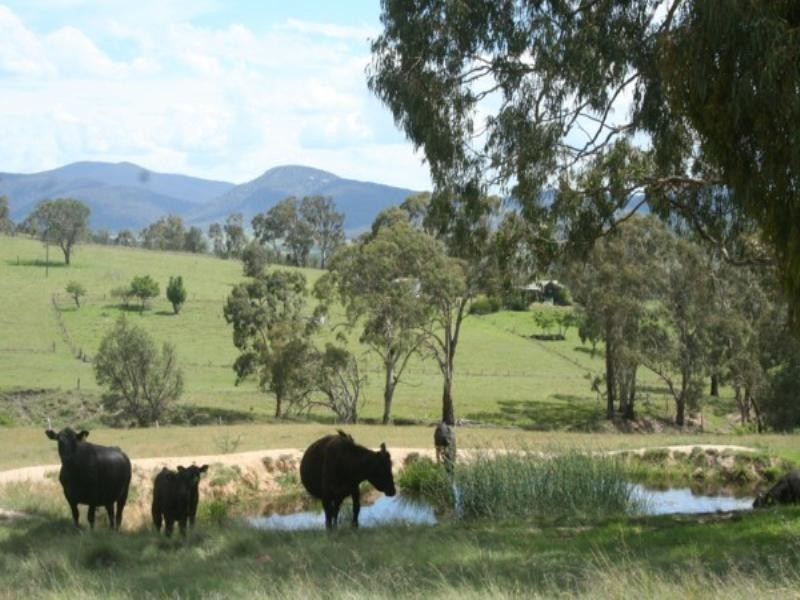 Tenterfield NSW 2372