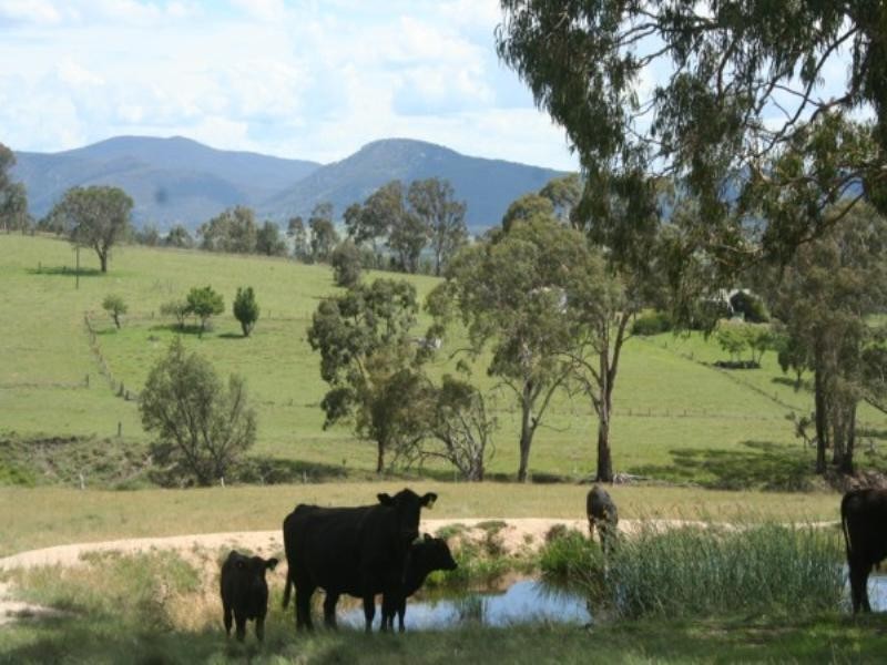 Tenterfield NSW 2372