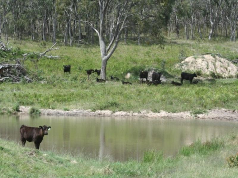 Tenterfield NSW 2372