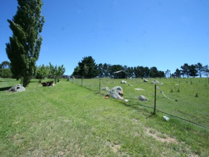 Tenterfield NSW 2372