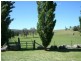 Tenterfield NSW 2372