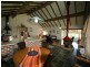 Tenterfield NSW 2372