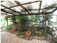 Tenterfield NSW 2372