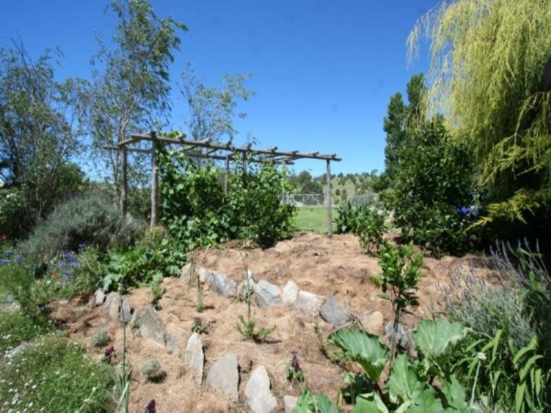 Tenterfield NSW 2372